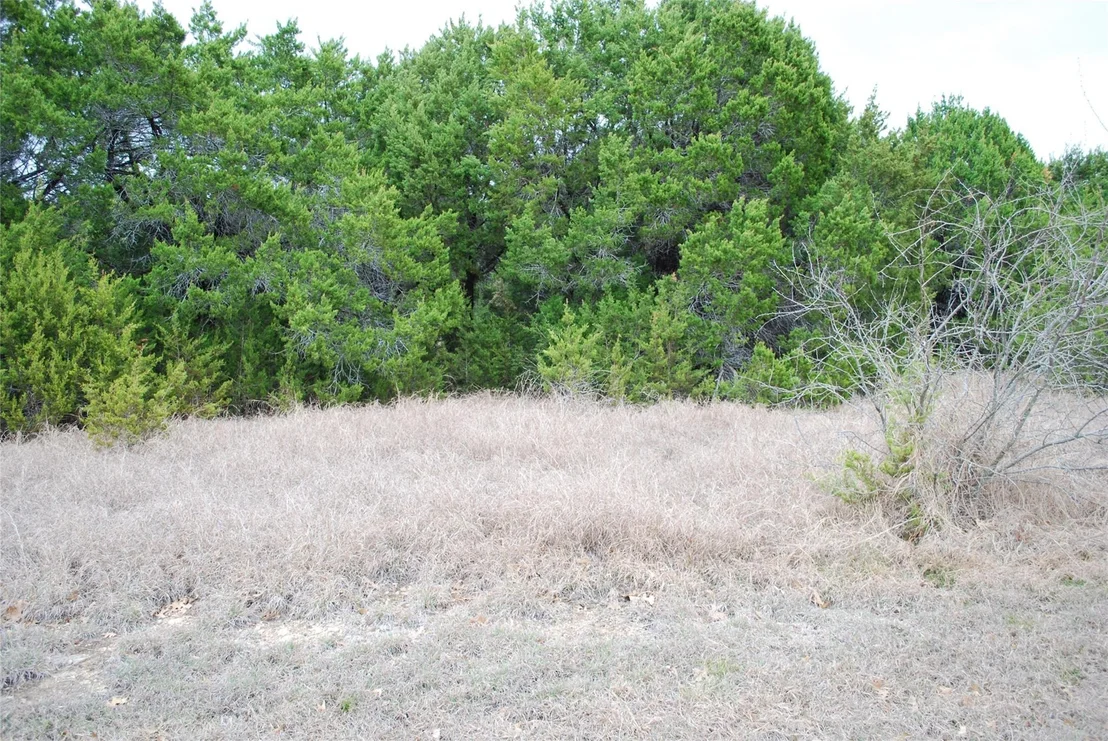 Photo of 43111 Indian Blanket Drive