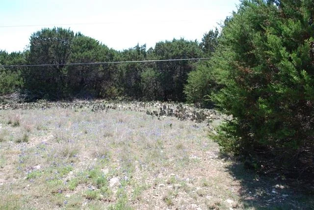Photo of 19016 Bluebonnet Drive