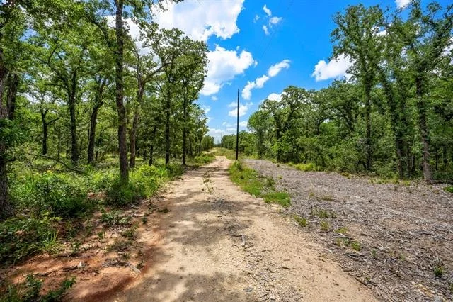 Photo of 868 County Road 405