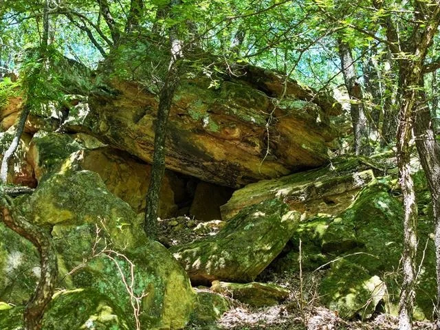 Photo of 18156 Hwy 281 N