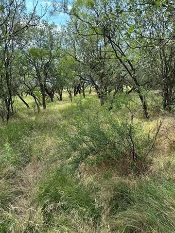 Photo of Tract 19 AC CR 150