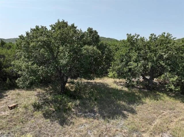 Photo of 1093 Lemons Gap Road