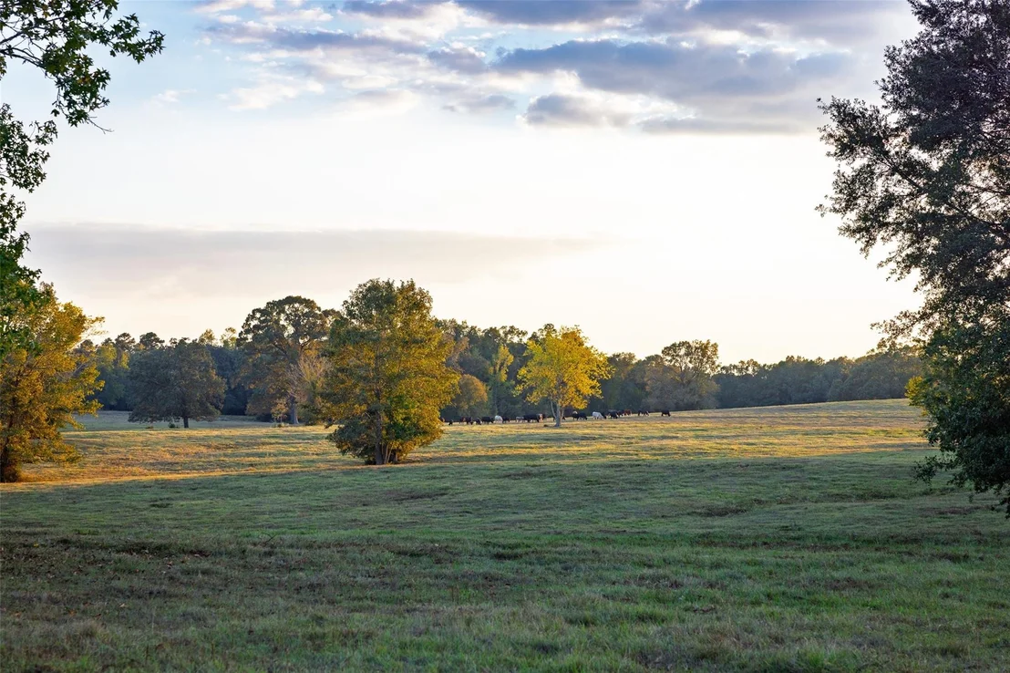Photo of 973 County Road 2572