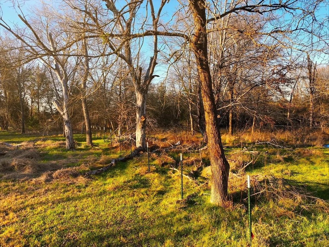 Photo of 259 NW County 3115 Road