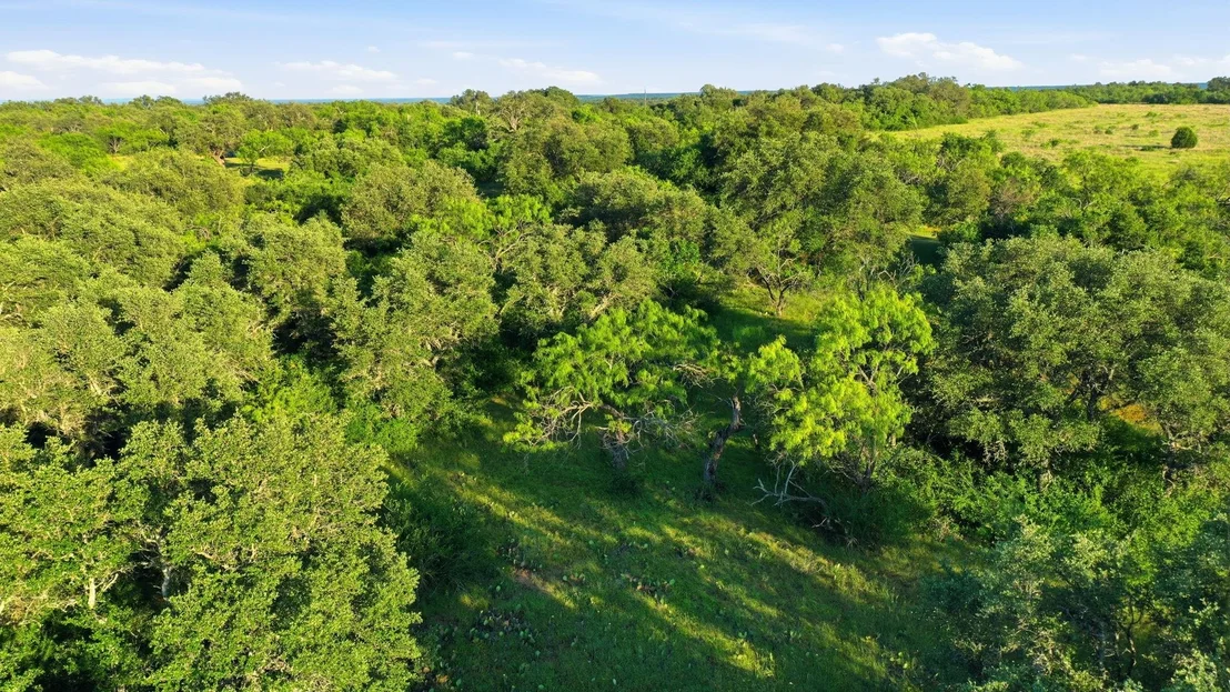 Photo of 1343 County Road 188