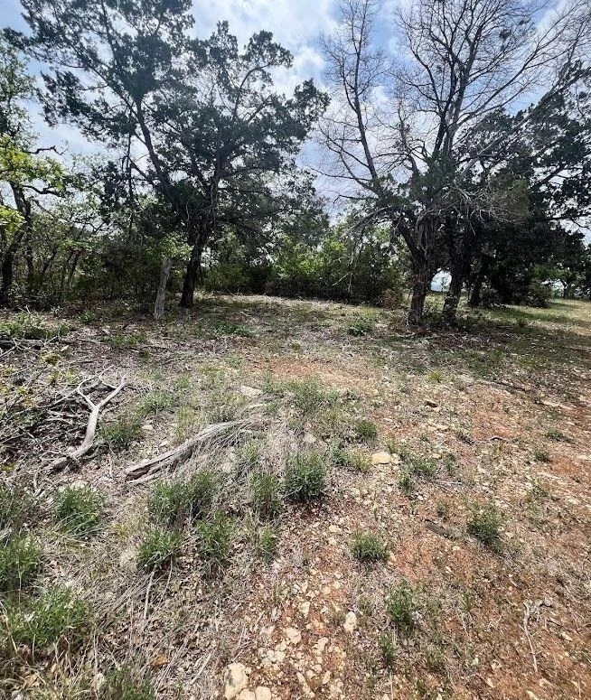 Photo of TBD Tyler Trail