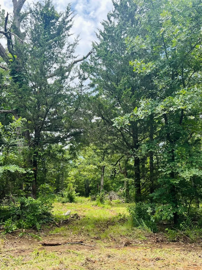 Photo of 950 VZ County Road 1919