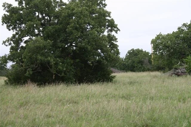 Photo of 2701 Live Oak Road