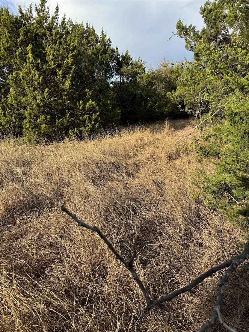 Photo of 32039 Dove Trail