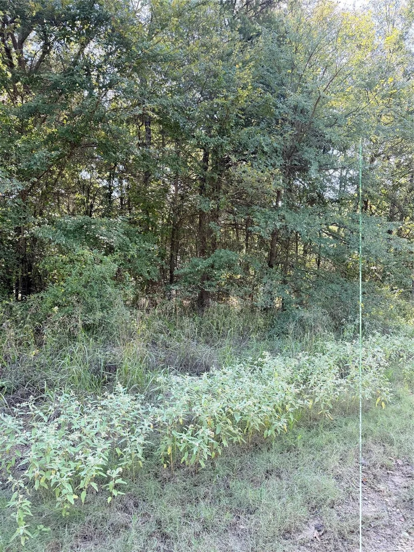 Photo of 106 Longhorn Road