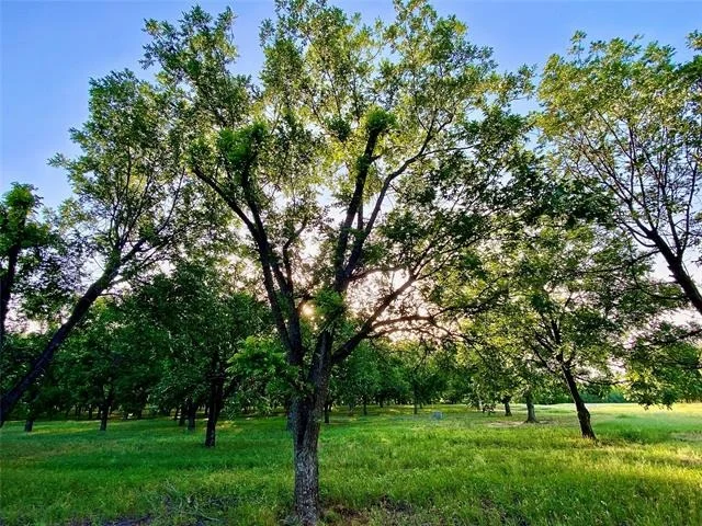 Photo of 751 County Road 424