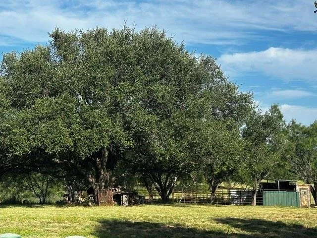 Photo of 575 County Road 442