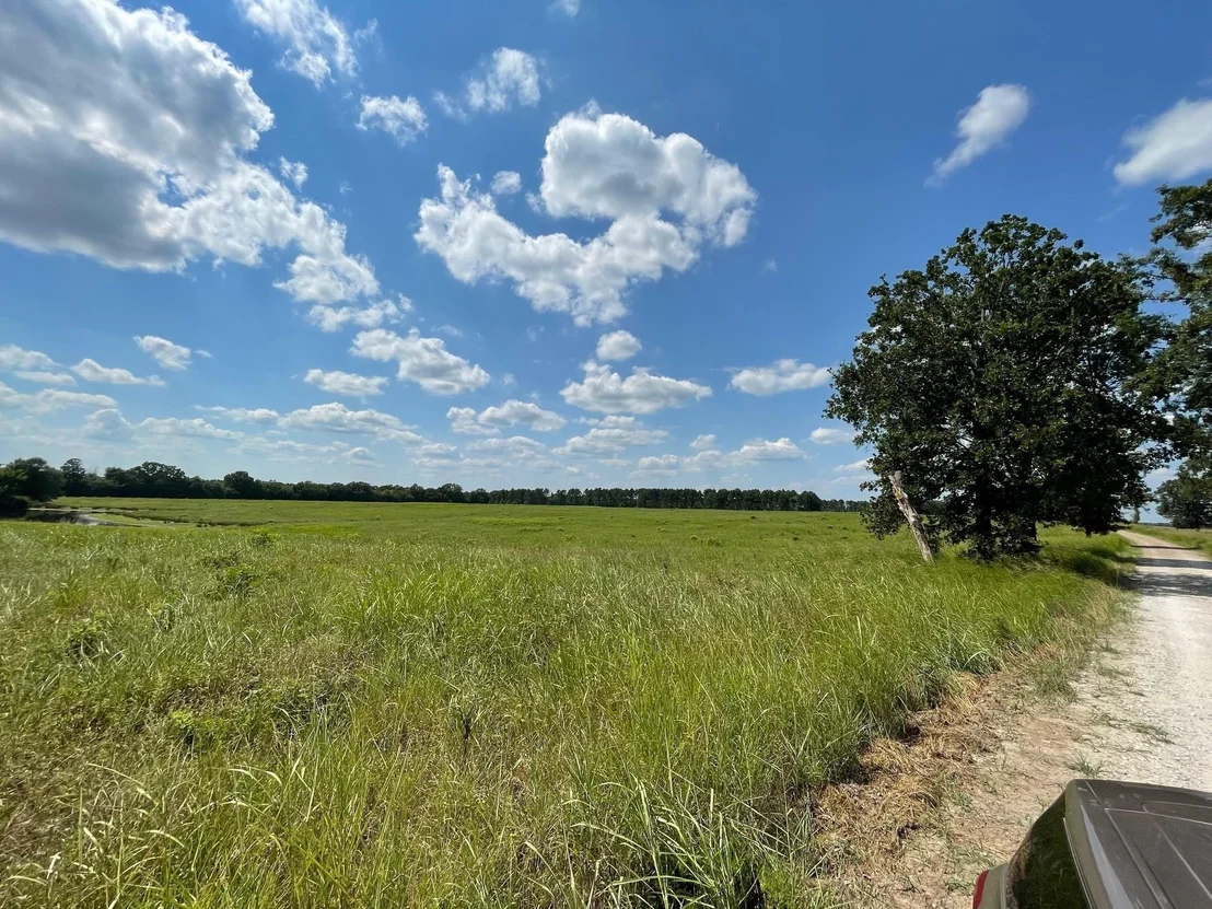 Photo of 332 County Road 1290