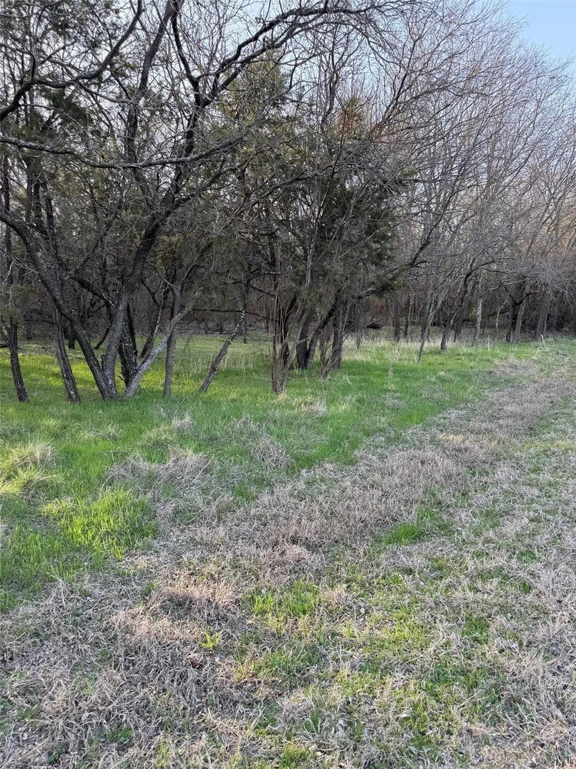 Photo of 12147 Trailwood Drive