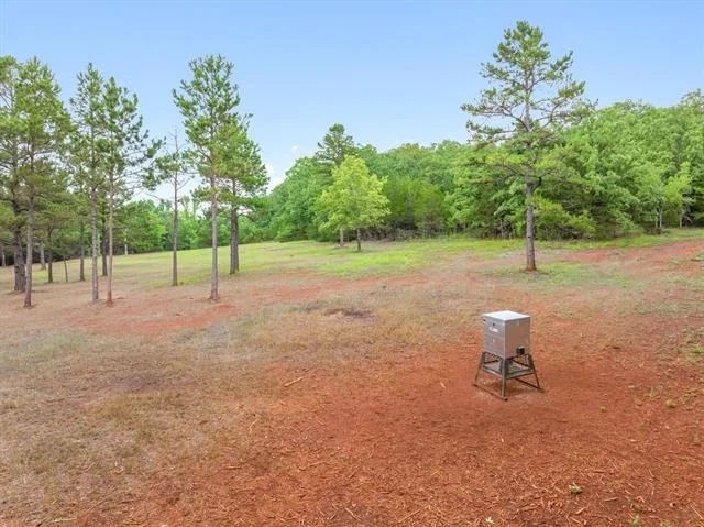 Photo of Unit TRACT1 at 16092 County Road 440