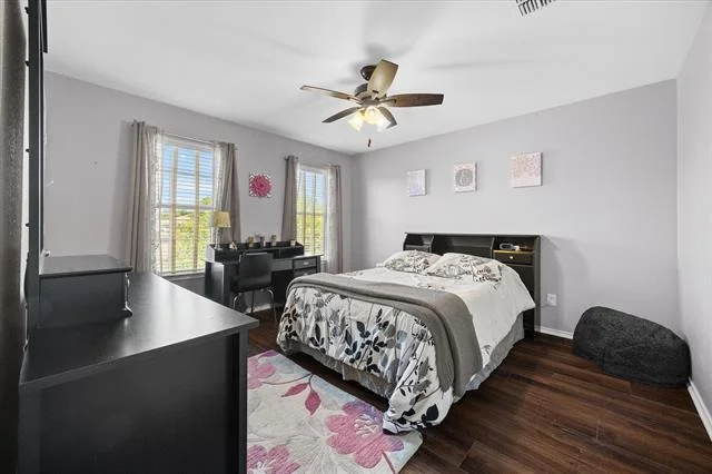 Photo of 2025 Aster Trail