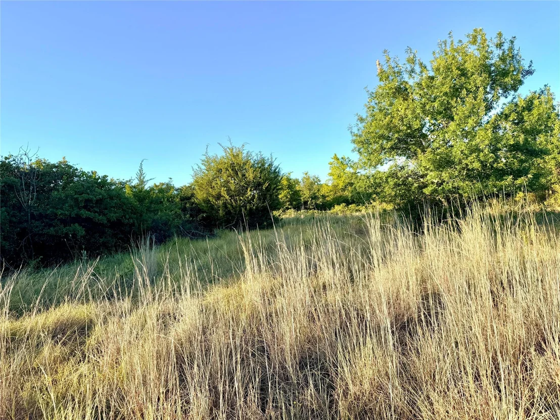 Photo of 37 Pr 224