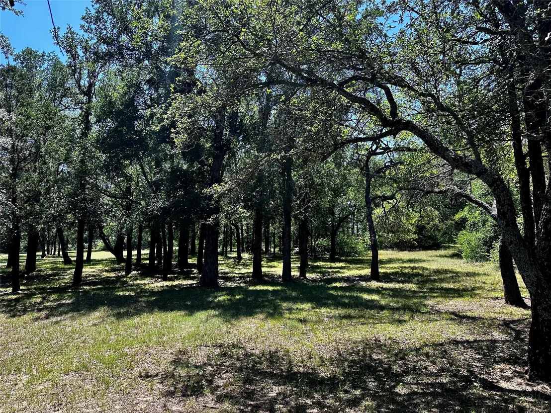 Photo of 15541 County Road 409