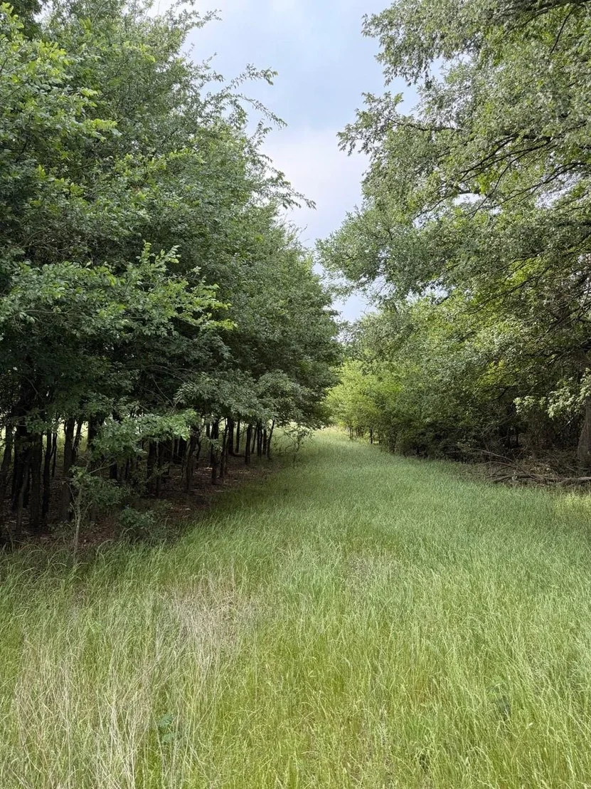 Photo of 345 CR 3346