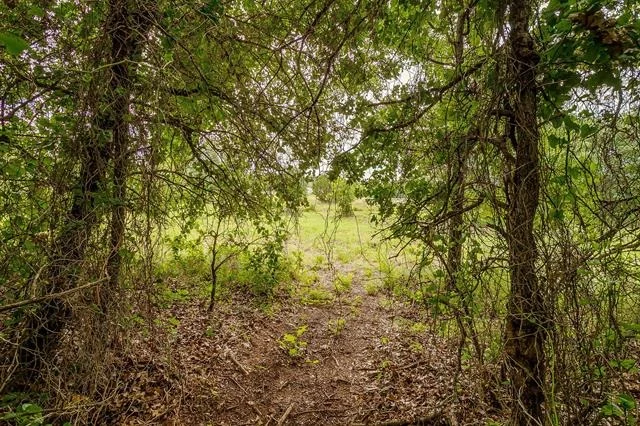 Photo of 350 Red Top Road