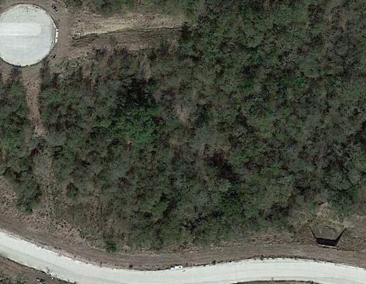 Photo of 4188 Willow Oak Bend