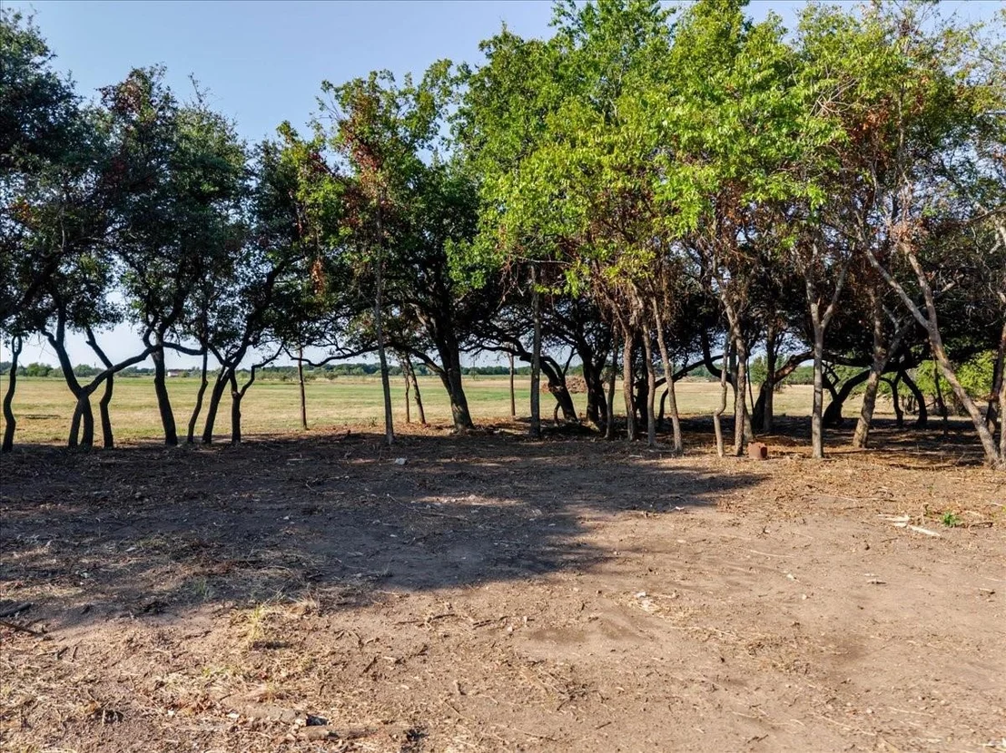 Photo of 2768 Live Oak Road