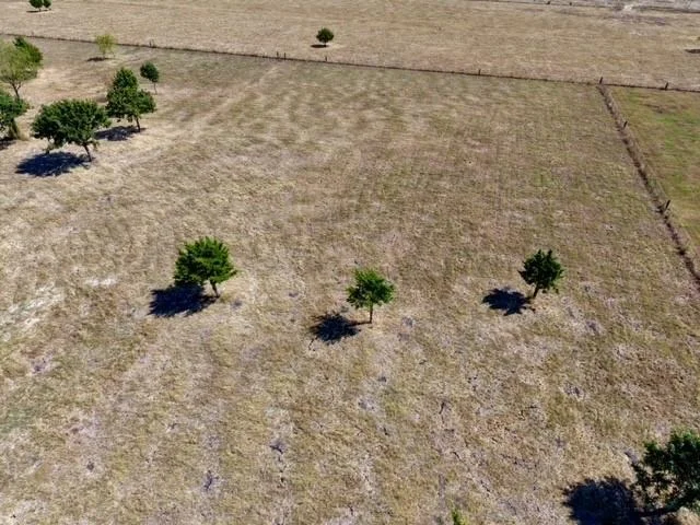 Photo of 2675 Dowell Road