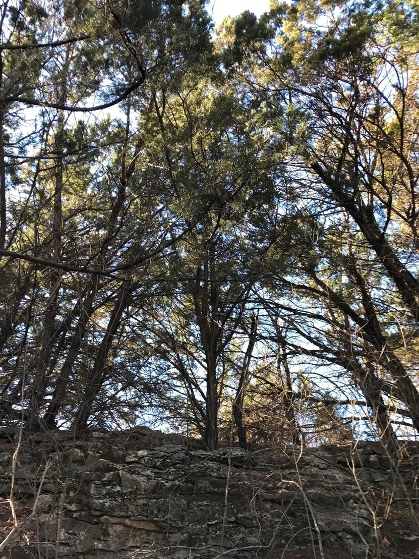 Photo of Lot 694 Balcones Lane