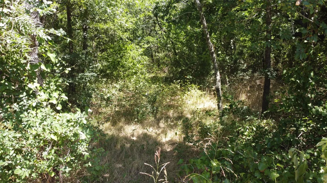 Photo of 4189 Willow Oak Bend