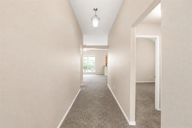 Photo of 1405 Canvasback