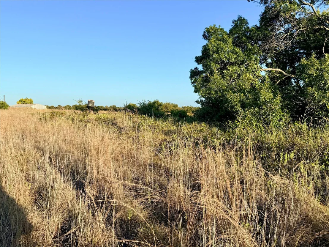 Photo of 37 Pr 224