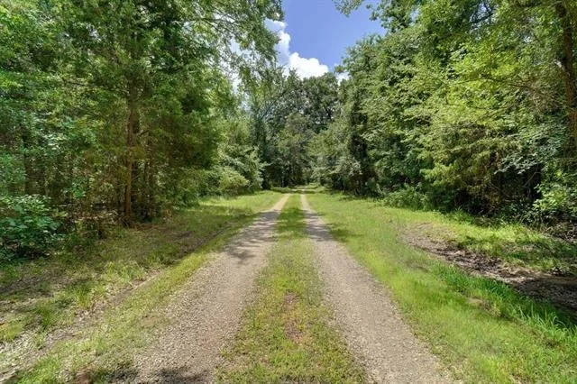 Photo of 615 County Road 1785
