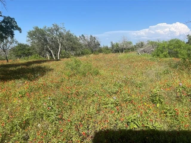 Photo of 24 County Road 510