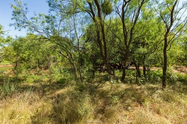 Photo of 1363 County Road 441