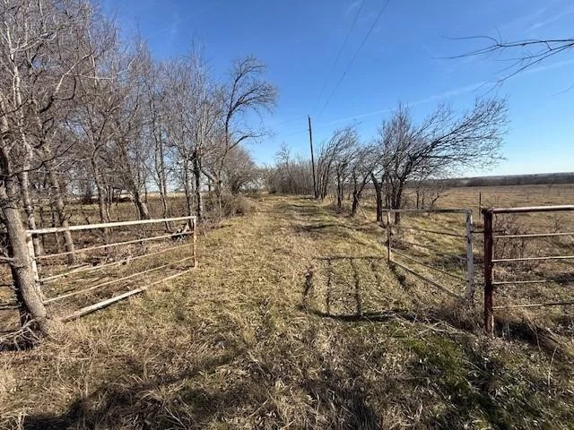 Photo of 363 County Road 4403