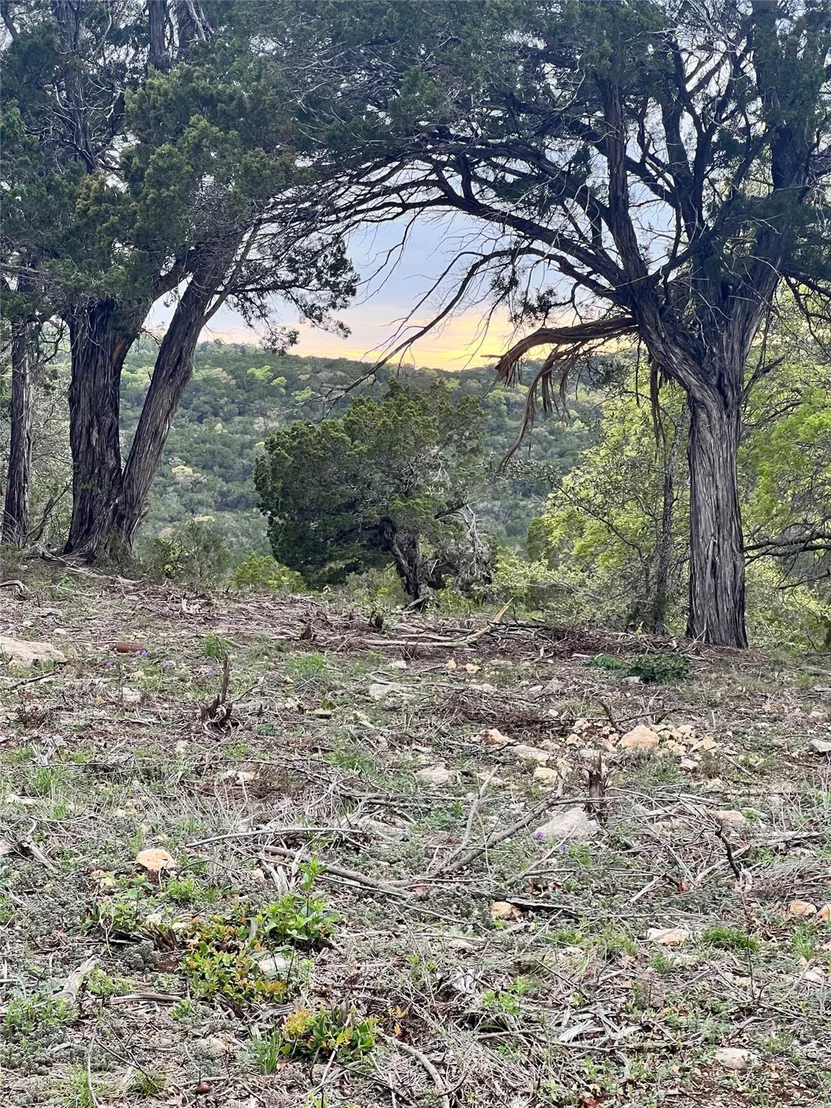 Photo of TBD Tyler Trail