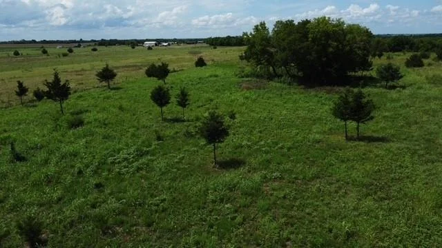 Photo of 1146 County Road 2175