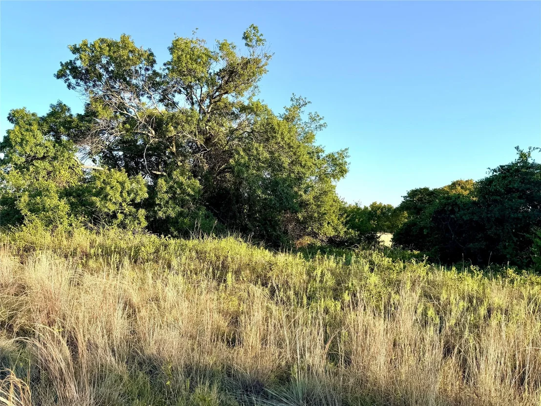 Photo of 37 Pr 224