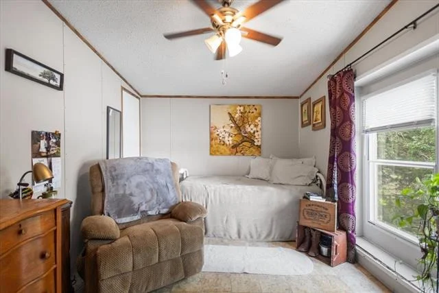 Photo of 146 County Road 4827