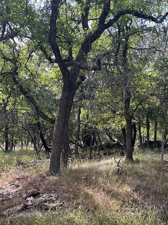 Photo of 927 Cutter Circle