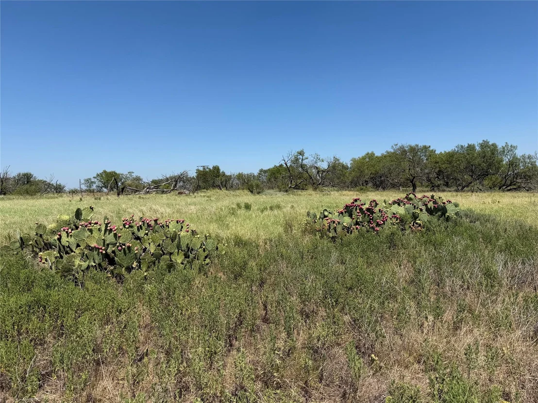 Photo of 501 County Road 376