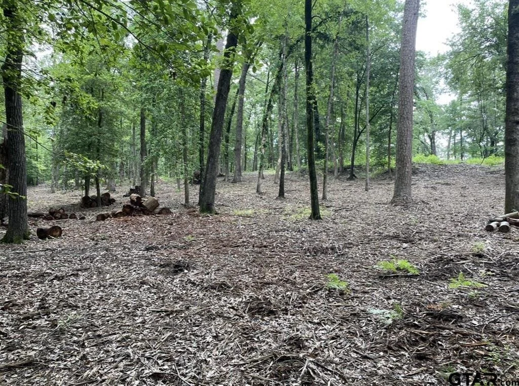 Photo of 1688 County Road 1597
