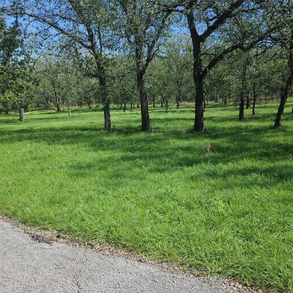 Photo of 196 Johnston Lane