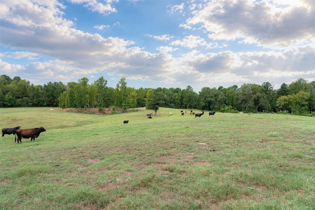 Photo of 3219 County Road 1508
