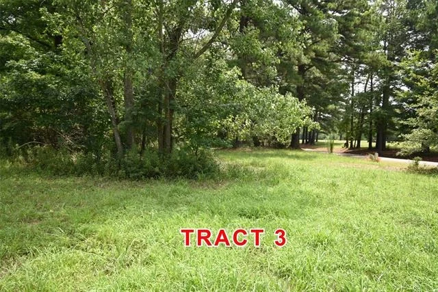 Photo of Tract 3 County Road 3117