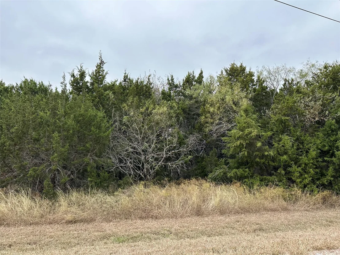 Photo of 43100 Coneflower Drive