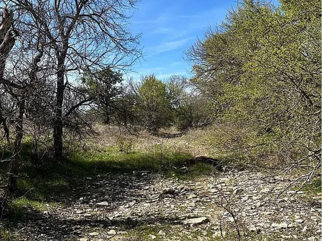 Photo of 433 County Road 327