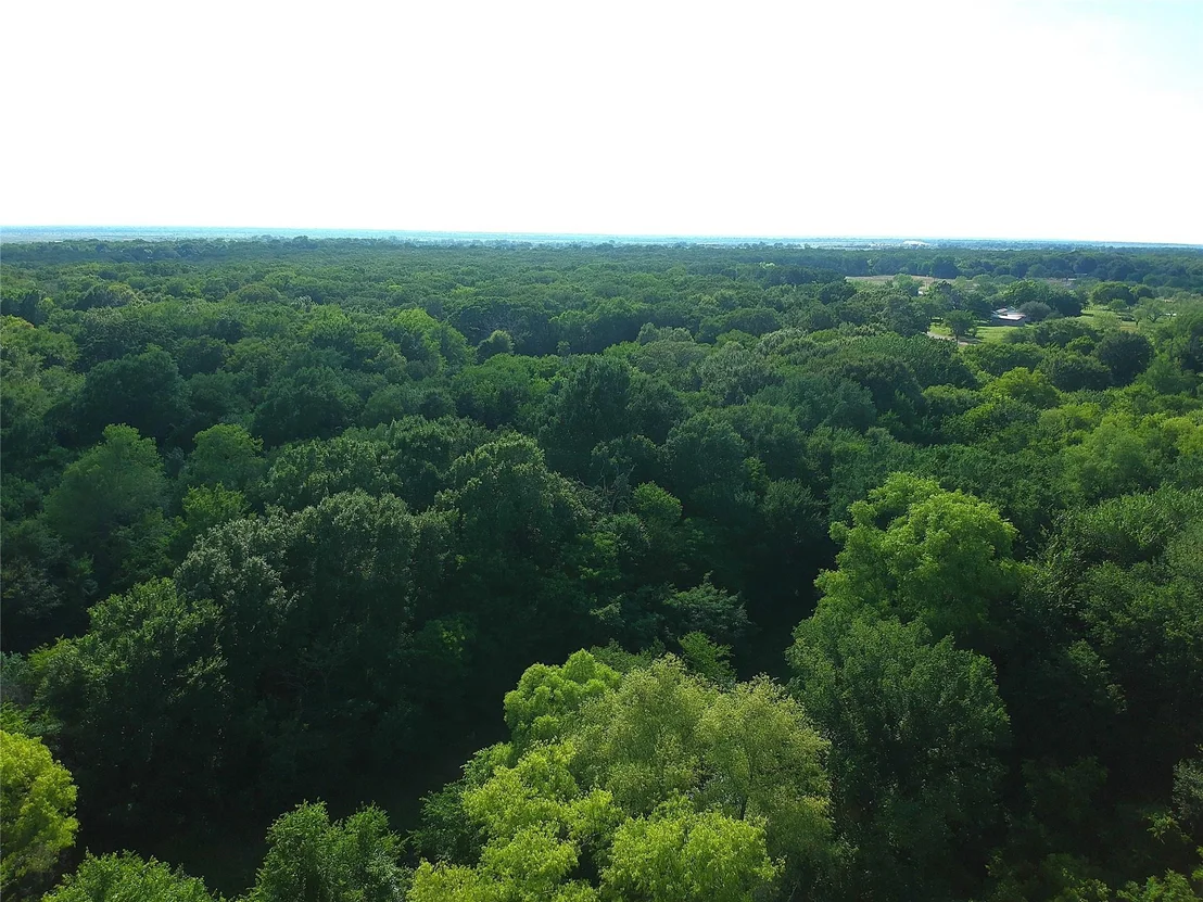 Photo of 19470 County Road 4072