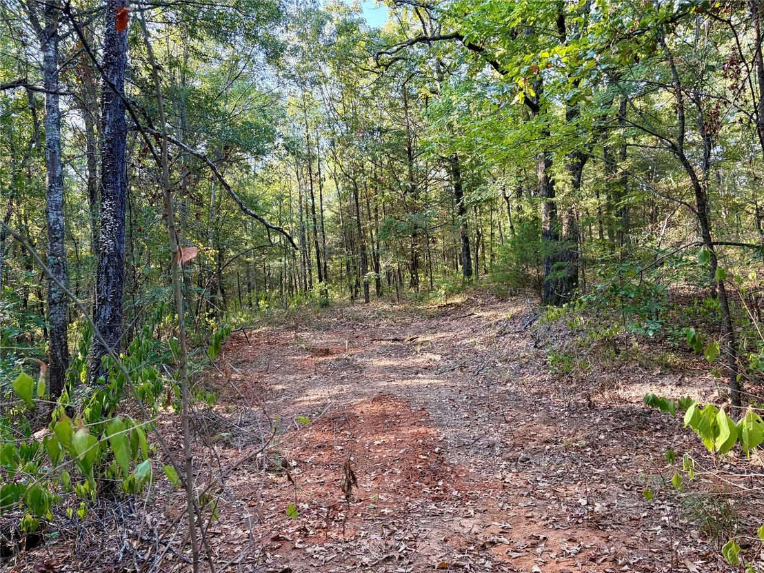 Photo of 10740 N Us-175
