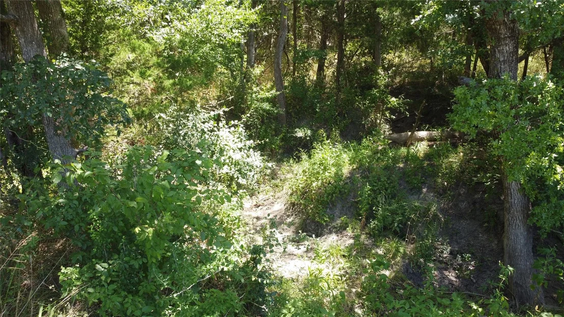 Photo of 4189 Willow Oak Bend